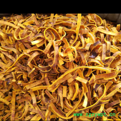 出售川黄柏 黄柏丝 去皮黄柏 黄柏个子大货 黄柏粉图3