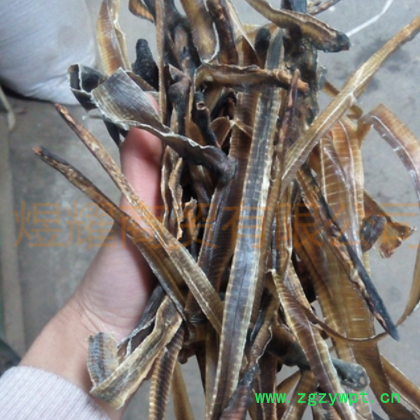 产地批发 全开地龙 地龙段 地龙粉 量大从优图2