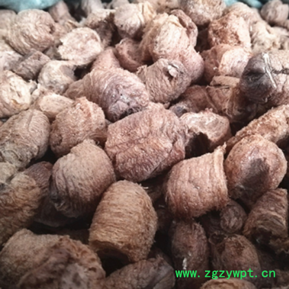 桑螵蛸 螵蛸 桑蛸 螳螂子各种等级 大货直供欢迎订购图2