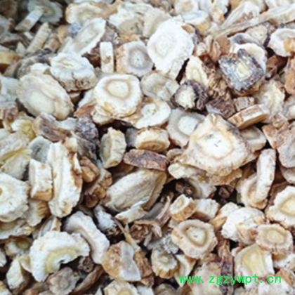 沙参 北沙参 北沙参各种等级 可视频看货图2