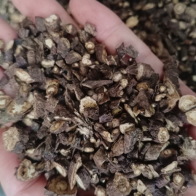 产地批发柴胡，北柴胡，另售甘肃柴胡，柴胡下脚料免费打粉