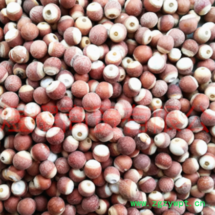 产地批发12厘芡实。 大粒芡实， 四六半芡实， 芡实米m 两半芡实图2