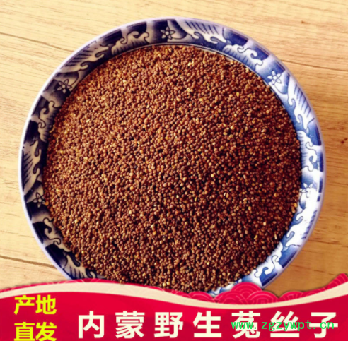 菟丝子 内蒙兔丝吐丝籽吐丝子 菟丝籽菟丝子图3