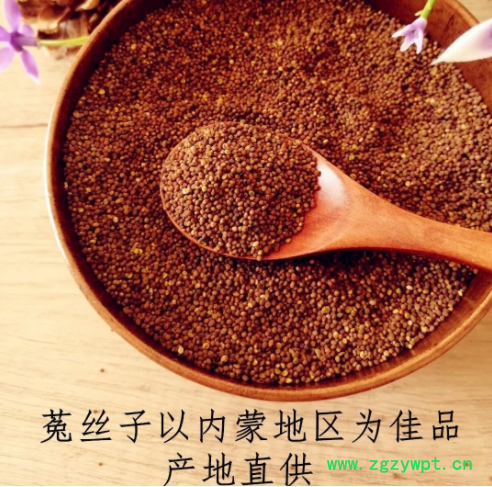 菟丝子 内蒙兔丝吐丝籽吐丝子 菟丝籽菟丝子图2