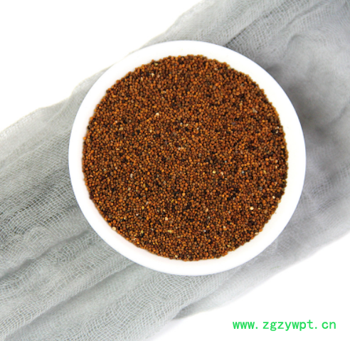 菟丝子别名豆寄生无根草黄丝吐丝子图3