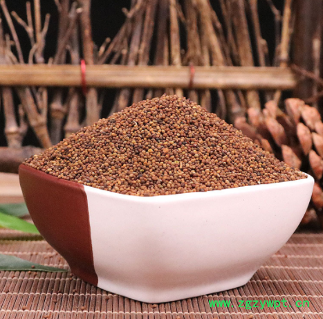 中药材 菟丝子 兔丝子 内蒙 吐丝子 一手货源图2