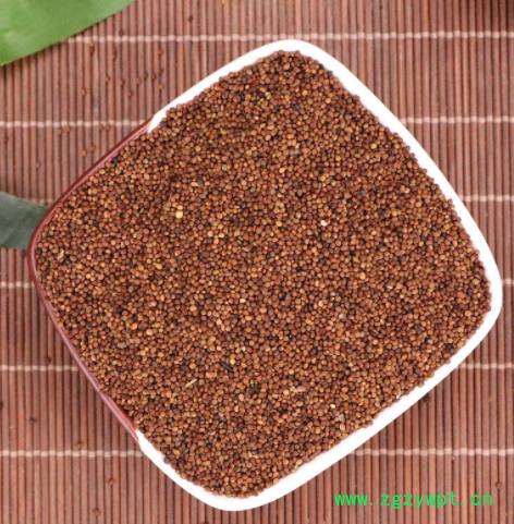 中药材 菟丝子 兔丝子 内蒙 吐丝子 一手货源图3