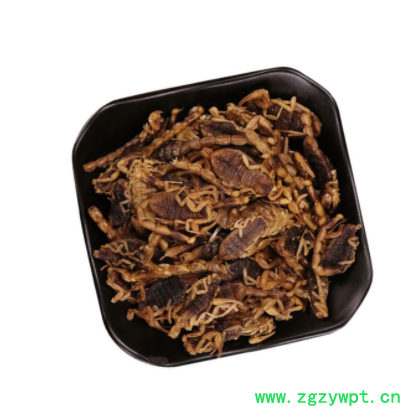 现货全蝎 批发中药材清水全蝎 蝎子全虫散装淡盐水蝎子干代发干货图3