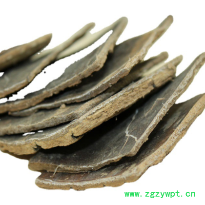 中药材杜仲批发各种规格老杜仲厚皮杜仲泡酒料批发量大从优规格齐图3