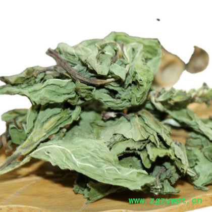薄荷叶中药材批发薄荷叶茶规格齐全大货供应量大价优薄荷茶批发图3