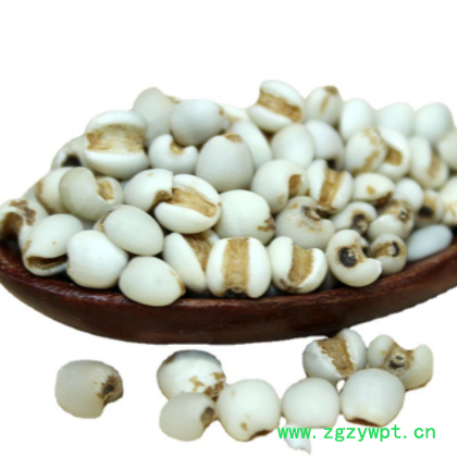 新货薏米仁批发福建软糯薏米仁批发五谷杂粮煮粥量大价优熟薏米仁图3