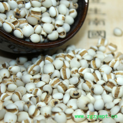 新货薏米仁批发福建软糯薏米仁批发五谷杂粮煮粥量大价优熟薏米仁图2