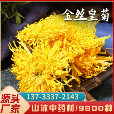 金丝皇菊花中药材大菊花茶一朵一杯大朵贡菊大黄菊干花泡茶批发