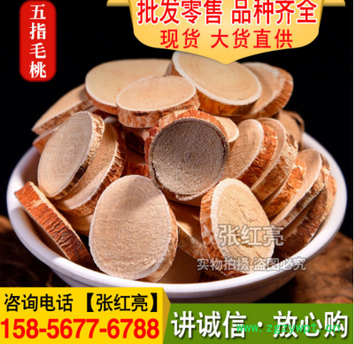 党参批发甘肃党参段各种规格大货量大从优农产品招代理党参