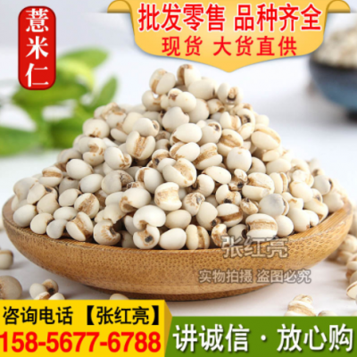 中药材批发薏米 薏米仁 薏苡仁大货批发量大从优薏苡仁