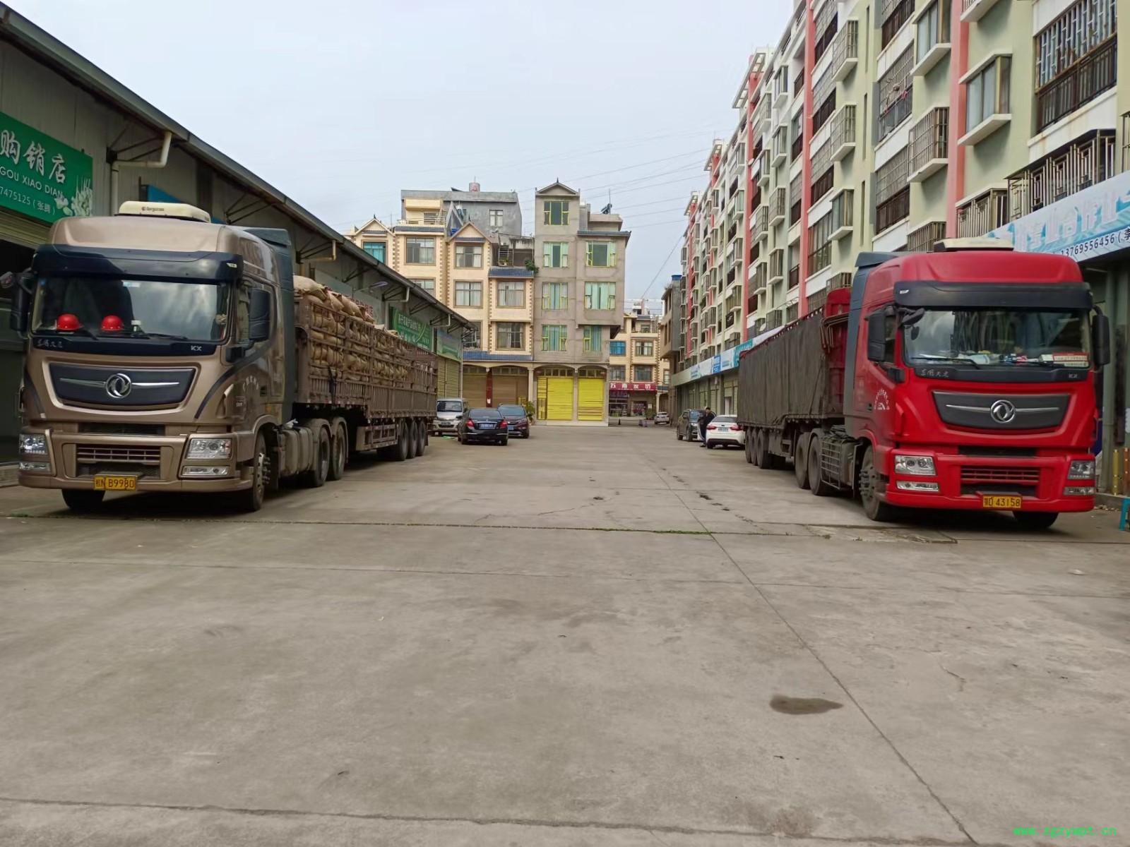 小黄姜各种规格型号《药厂投料饮片》图8