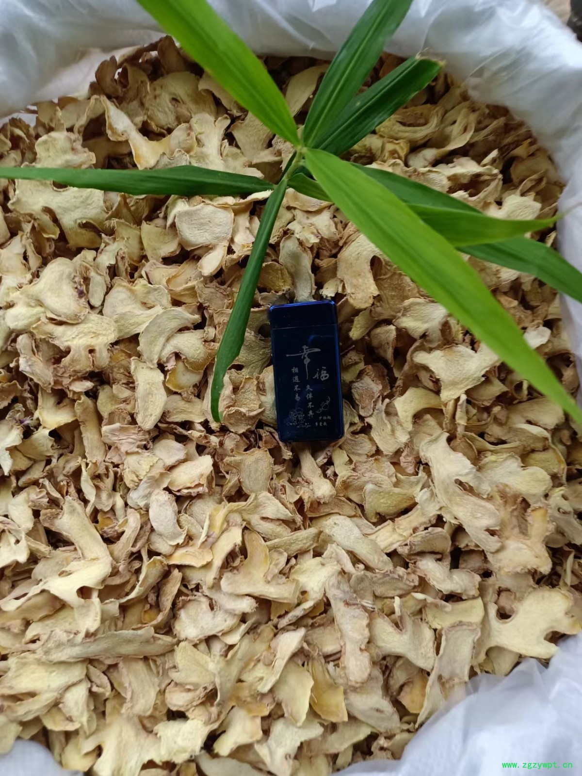 小黄姜各种规格型号《药厂投料饮片》图7