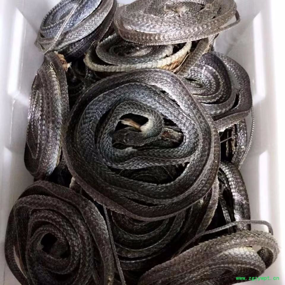 中药材店铺乌蛇  整条不碎泡酒蛇整条蛇泡酒料整条产地直销图4