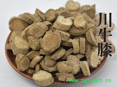 川牛膝