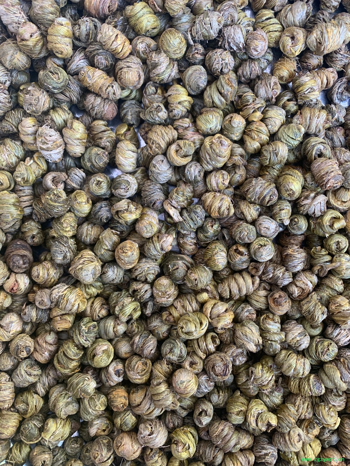 紫皮石斛枫斗图4