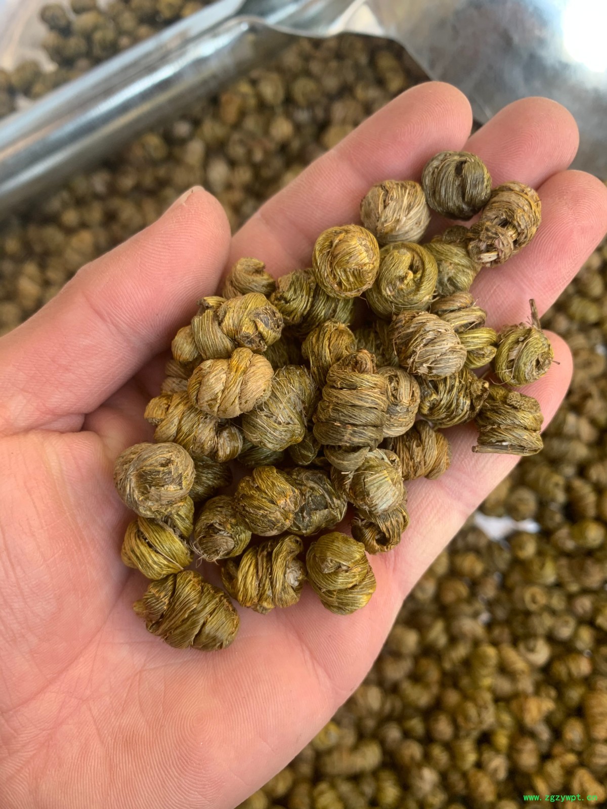 紫皮石斛枫斗图3