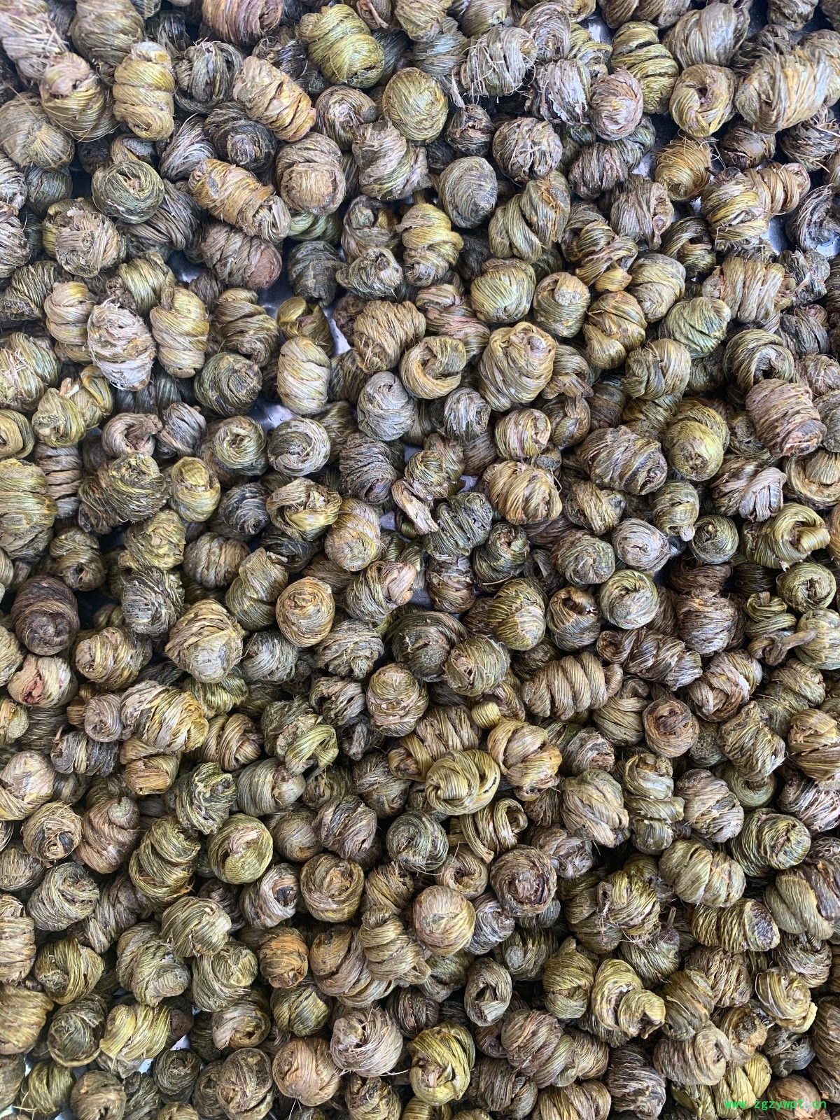 紫皮石斛枫斗图3