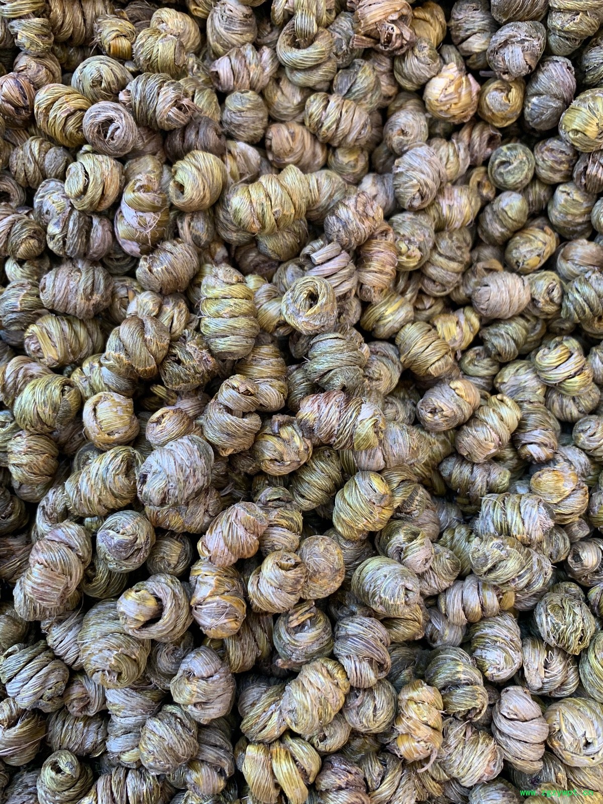 紫皮石斛枫斗图8