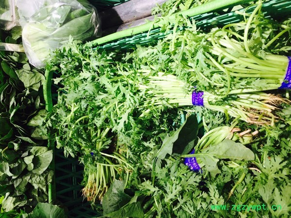 春天多吃4种野菜，既是野菜也是天然中药，多吃一些健康又养生！