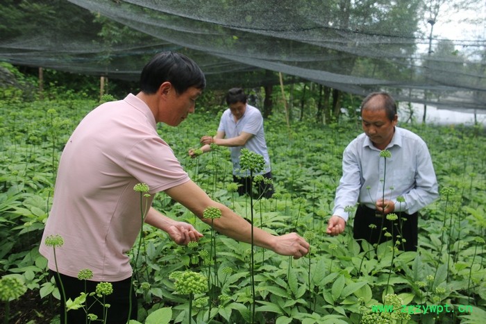 QQ图片20230625154748