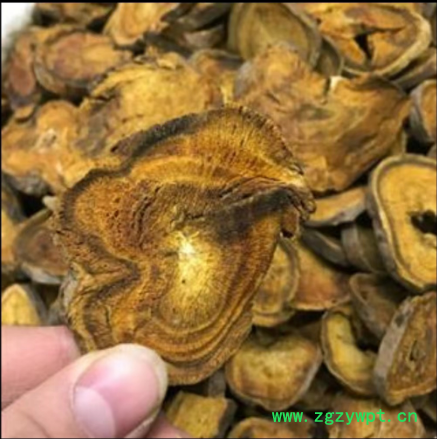 药用大黄，产自河南洛阳豫西山区，伏牛山区野生药材图2