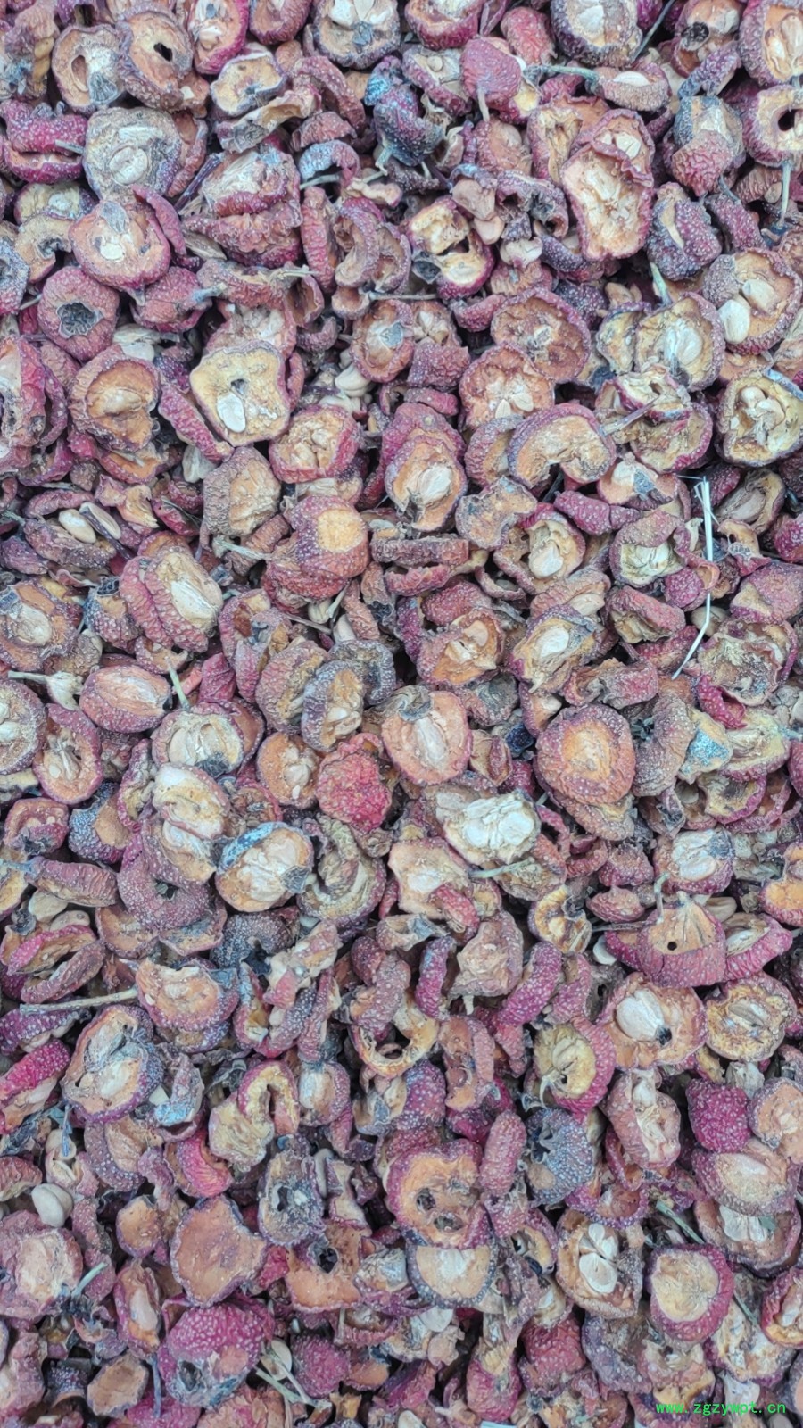 晒干有子山楂图2