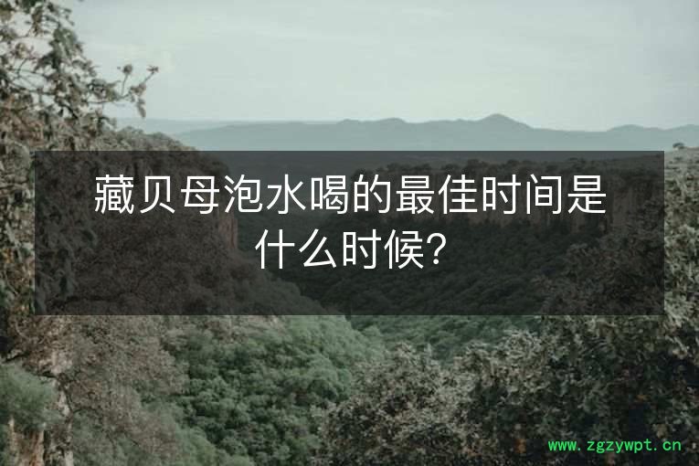 藏贝母泡水喝的最佳时间是什么时候？