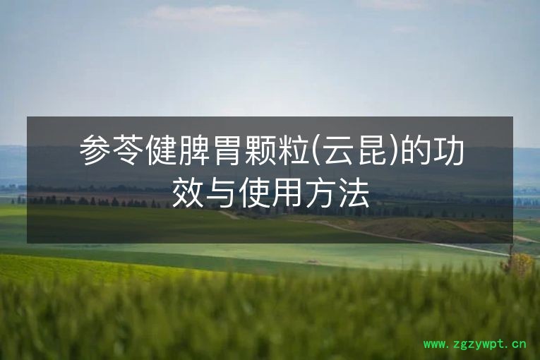 参苓健脾胃颗粒(云昆)的功效与使用方法
