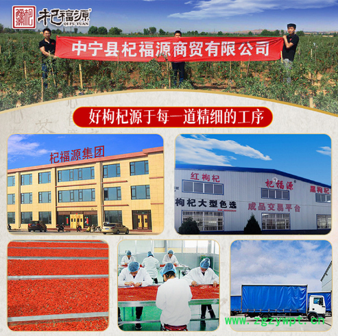 杞福源新货宁夏枸杞子特级中宁枸杞散装批发即食特大 头茬枸杞图4