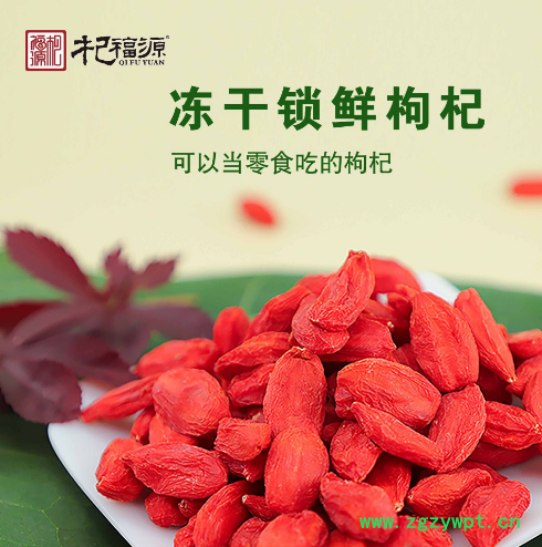 杞福源宁夏锁鲜枸杞新果冻干枸杞子现货批发特级头茬即食鲜枸杞图2