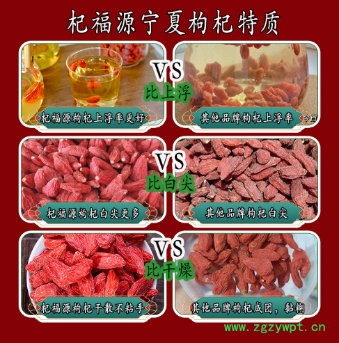 杞福源宁夏枸杞子罐装新货中宁苟杞子干货特级免洗即食红枸杞批发图2