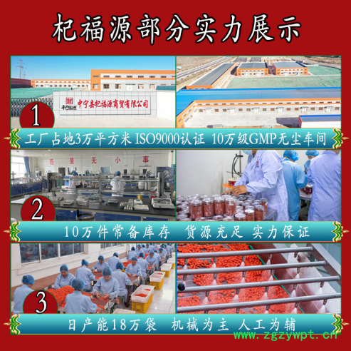 杞福源宁夏枸杞子罐装新货中宁苟杞子干货特级免洗即食红枸杞批发图4