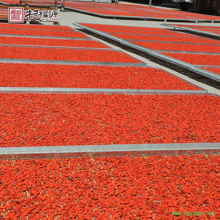 杞福源红枸杞子罐装新货中宁枸杞子干货特级免洗即食宁夏枸杞批发图4