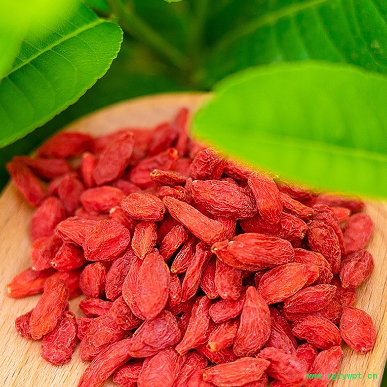 杞福源宁夏枸杞新货大颗粒中宁枸杞源头产地精包装批发枸杞子图2