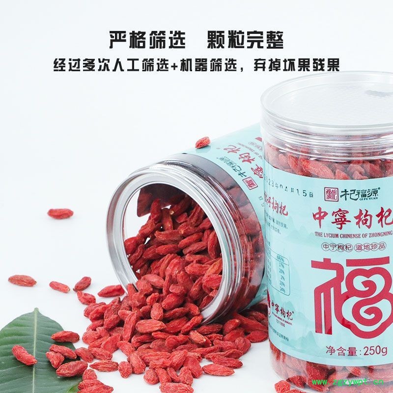 杞福源宁夏枸杞现货批发罐装特大枸杞王泡茶特级枸杞子一件代发图3