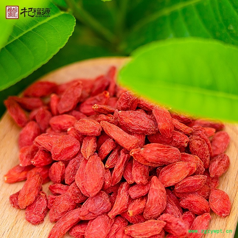 杞福源宁夏枸杞子批发厂家特级袋装现货新货中宁枸杞头茬商用图2