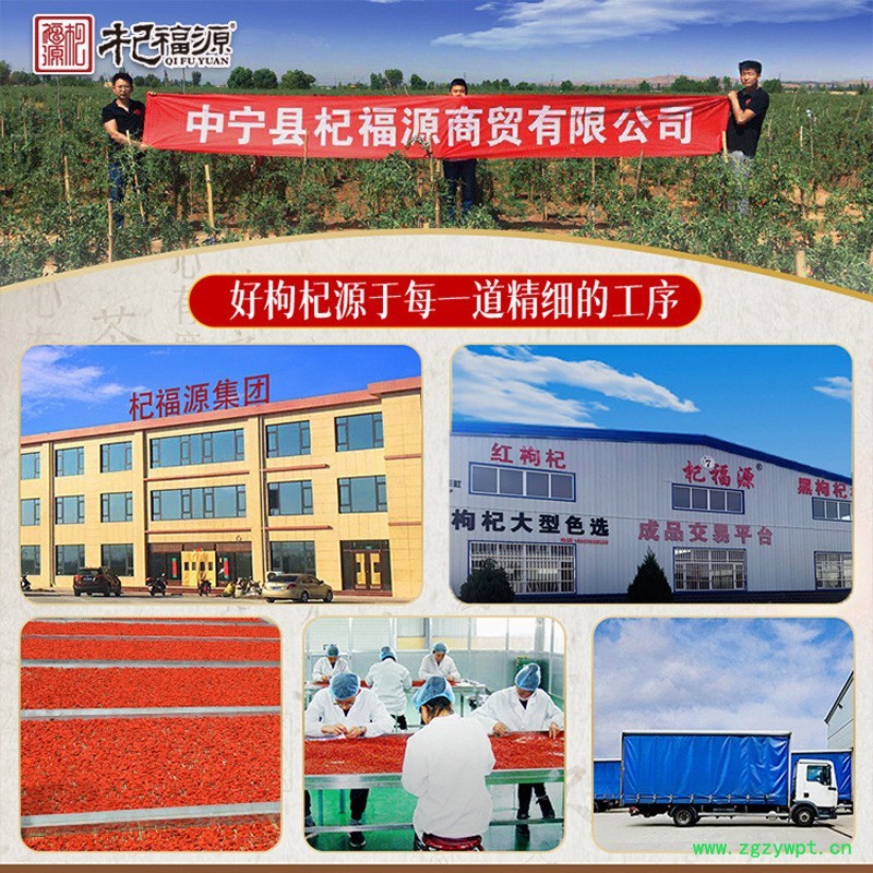 杞福源宁夏枸杞子批发厂家特级袋装现货新货中宁枸杞头茬商用图4
