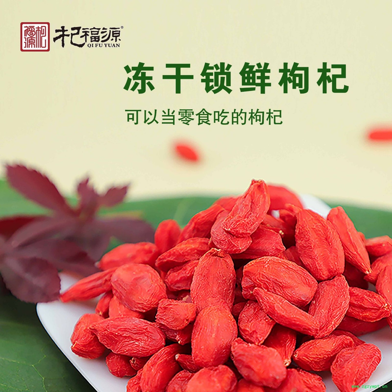 杞福源宁夏锁鲜枸杞新果冻干枸杞子现货批发特级头茬即食鲜枸杞