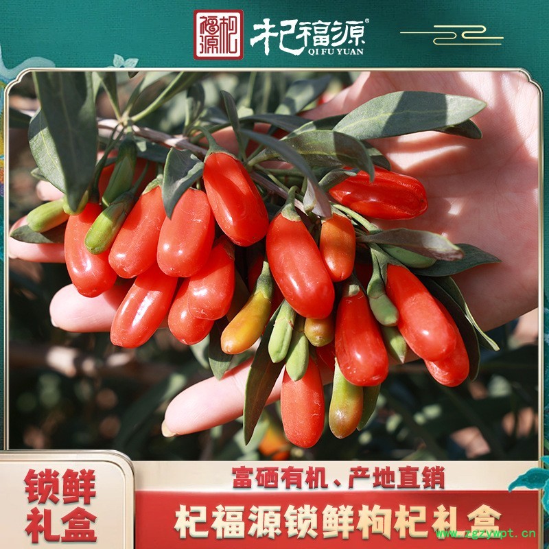 杞福源锁鲜枸杞新货冻干鲜枸杞特优级即食中宁枸杞子礼盒装批发图4