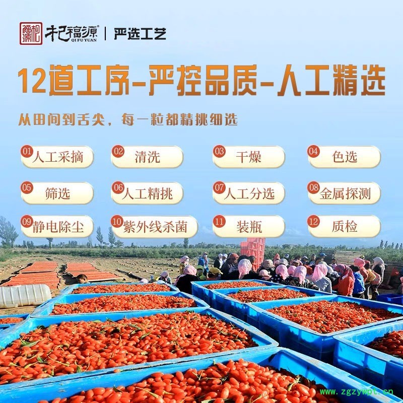 杞福源枸杞子批发宁夏枸杞精品即食中宁枸杞特级500g罐装头茬图4