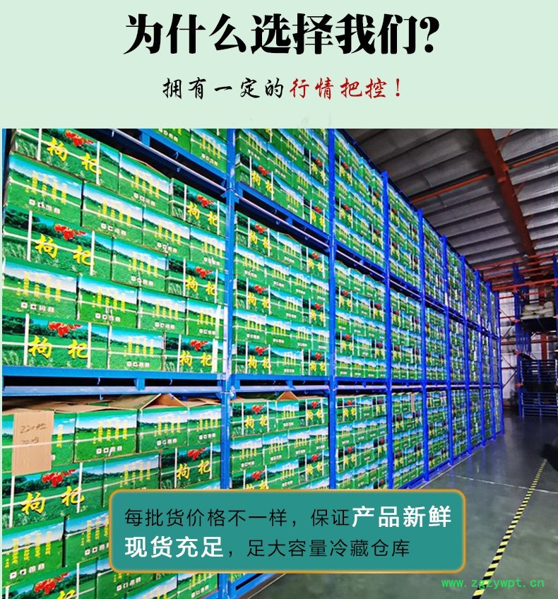 杞福源枸杞免洗宁夏枸杞新货头茬中宁枸杞商用贴牌定制枸杞子图5