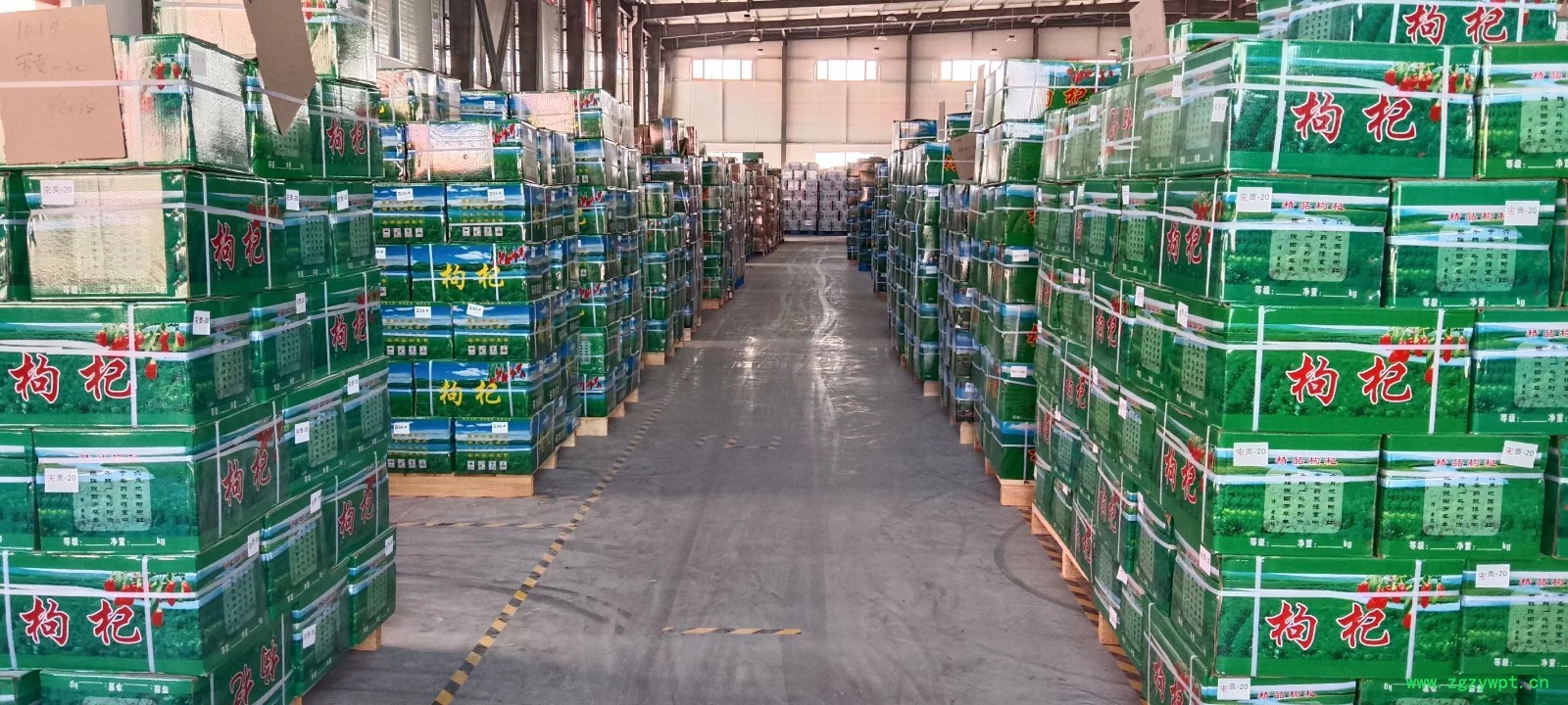 杞福源宁夏枸杞现货批发罐装袋装特大枸杞王泡茶特级枸杞子代发图2