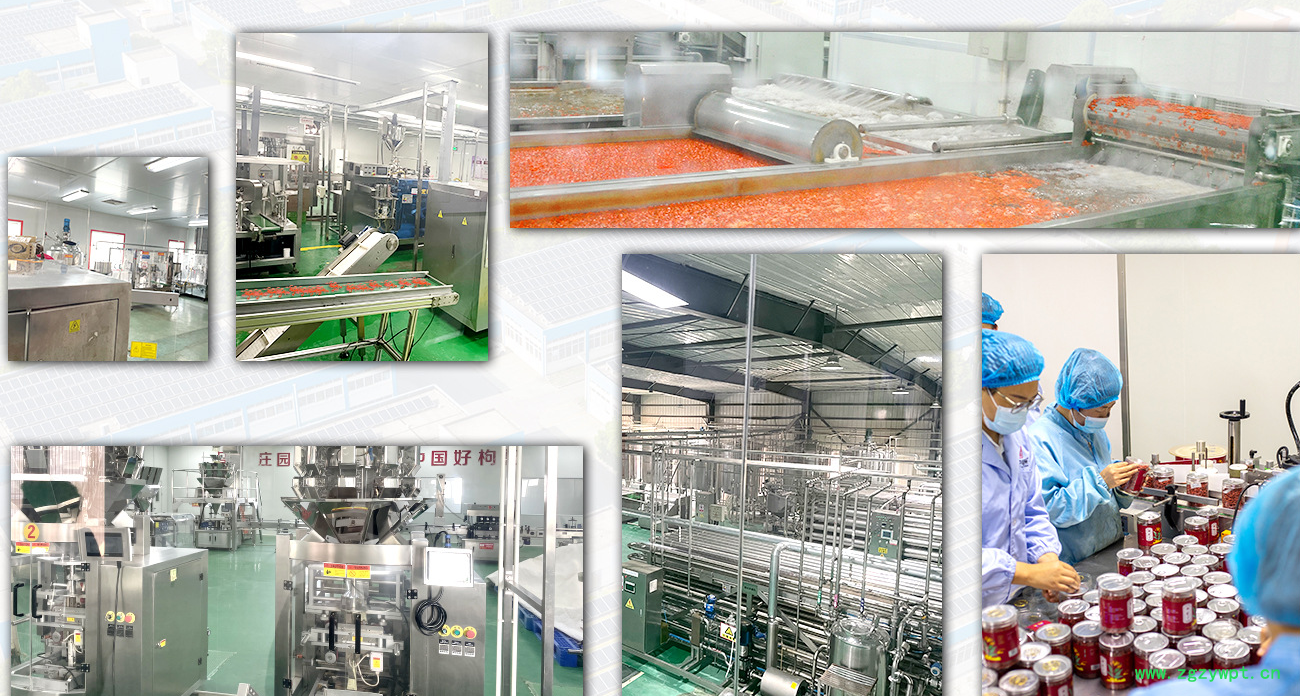 杞福源宁夏枸杞现货批发罐装袋装特大枸杞王泡茶特级枸杞子代发图3