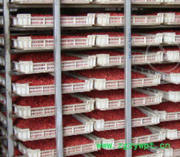 杞福源宁夏枸杞现货批发罐装袋装特大枸杞王泡茶特级枸杞子代发图4