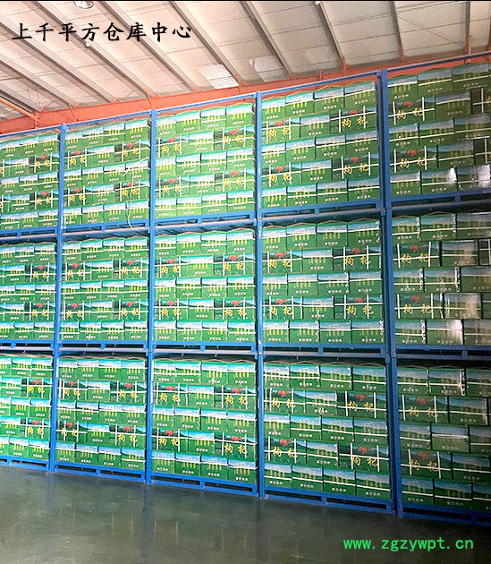 杞福源宁夏枸杞现货批发罐装袋装特大枸杞王泡茶特级枸杞子代发图5